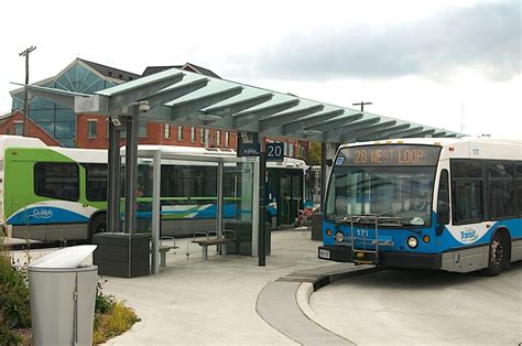 'I can't do this': Guelph councillor fails challenge to take transit for 1 week | CBC News