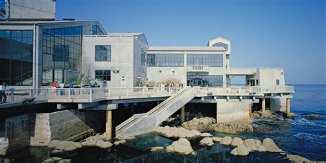 Monterey Bay Aquarium Phases I, II, & III