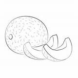 Cantaloupedd Coloring Page For Kids  Free Melon Printable sketch template