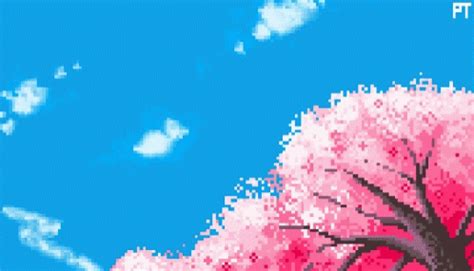 Cherry Blossom Tree GIF - Cherry Blossom Tree Pink - Discover & Share GIFs