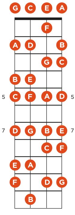 Get To Know Your Ukulele Fretboard | Ukulele Go