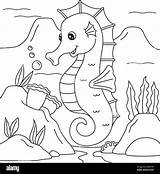 Seahorse Coloring Sheet sketch template