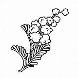 Mimosa Flower Sprig Outlined For Coloring Stock Illustration  sketch template