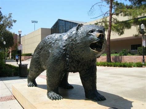 Bruin Bear Campus Visit, Graduate School, Grad School, Bear Statue, Ucla Bruins, College Campus ...