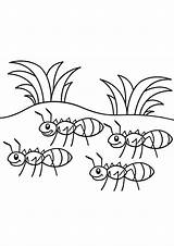 Coloring Pages  Printable Free Ant sketch template