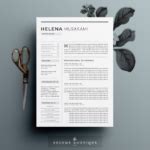 30+ Professional Resume Template Designs - PSD, InDesign, EPS, MS Word - Graphic Cloud