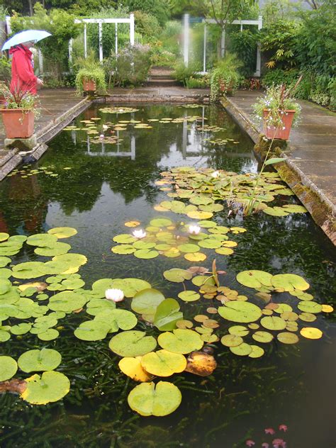 Formal Pond Free Stock Photo - Public Domain Pictures