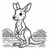 Kangaroo Coloring Pages  Gem sketch template