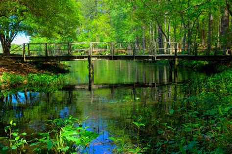 Sesquicentennial State Park - Bridge 1 by joeyglockner