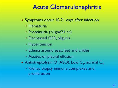 PPT - Acute Glomerulonephritis PowerPoint Presentation, free download - ID:3066382