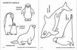 Printable Coloring Pages Of Arctic Animals sketch template