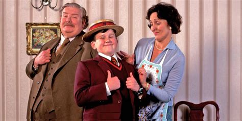 What Happened To The Dursleys After Harry Potter Ended