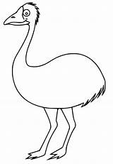 Emu Coloring Pages  Free Printable For Kids sketch template