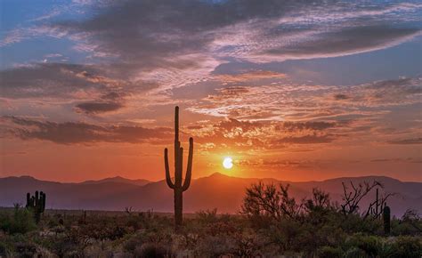 Sunrise In the Arizona Desert With Cactus With Mountain Range ...