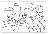 Premium Vector  Cricket coloring Book template Illustration sketch template