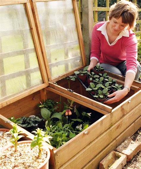 Hardening off plants: how, when and why to do it | Gardeningetc