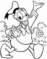 Coloring Pages  Donald Duck sketch template