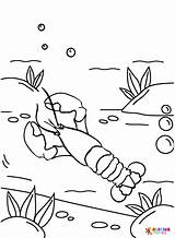 Lobster Coloring Pages  Free Printable PDF JPG PNG & Online sketch template