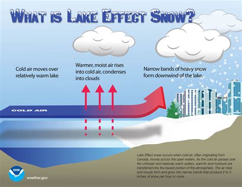 Fall Infographics