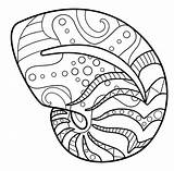 Nautilus Coloring Pages  Free Printable PDF & Online sketch template