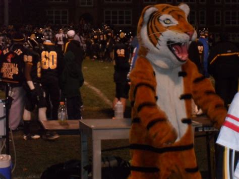 Mascot mania: Vote for your favorite high school mascot | Fox 8 Cleveland WJW