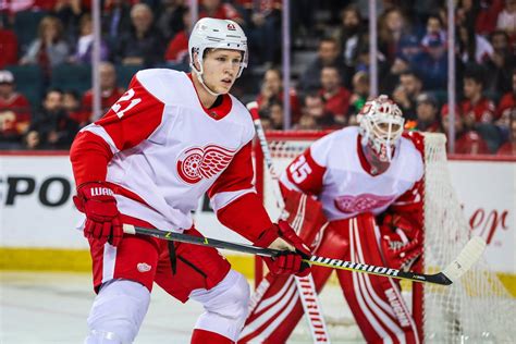 Red Wings quarter one report cards: Defenseman and goalies - WingsNation