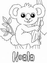 Koala Bear Coloring Page sketch template