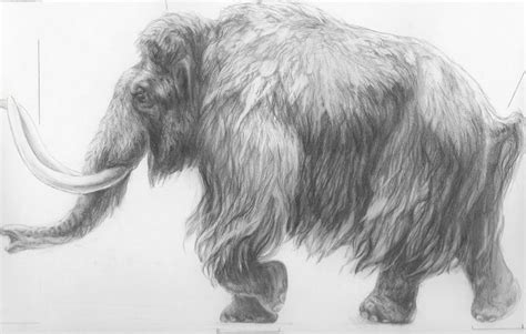 Paleoillustration — Mammoths by the Kennis brothers. in 2021 ...