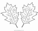 Two Autumn Leaves Coloring Page For Kids  Free Printable sketch template