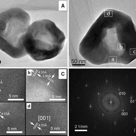 SEM micrographs of the synthesized BaTiO3 nanoparticles | Download Scientific Diagram