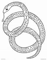 Snake Coloring Pages Garter Page Beautiful 649 Best  sketch template