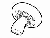 Fungi Coloring Worksheet Coloring Pages sketch template