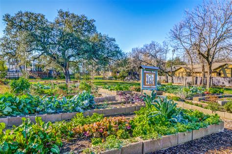 Photo Highlights: Mahncke Community Garden | Shoot2Sell Real Estate ...