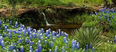 Leakey Texas - Texas Hill Country