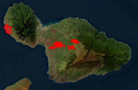 At least six dead from wildfires that devastated parts of Hawaiian ...