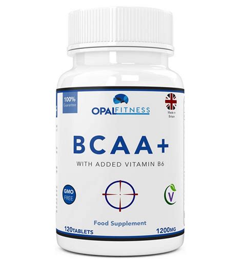 Best BCAA UK Certified Supplements 2024 - Fitness Fighters