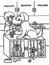 Collection Of Veterinary Coloring Pages  Free Printable sketch template