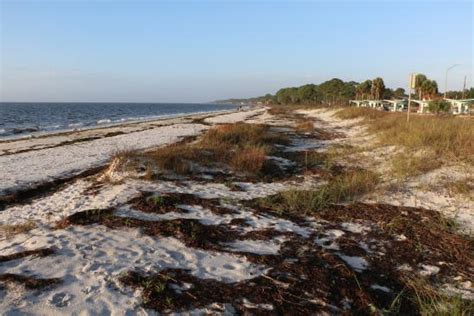 Carrabelle Beach - 2020 All You Need to Know BEFORE You Go (with Photos) - Tripadvisor