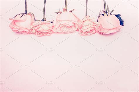 Background with pastel pink roses | High-Quality Arts & Entertainment Stock Photos ~ Creative Market