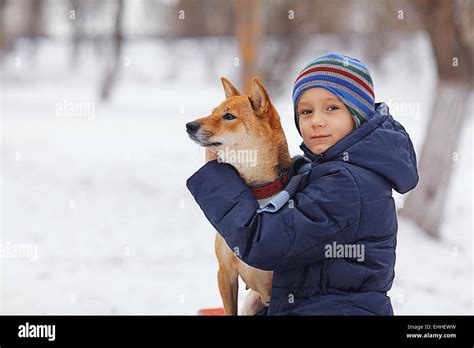 boy and a cute dog concept of friendship Stock Photo - Alamy