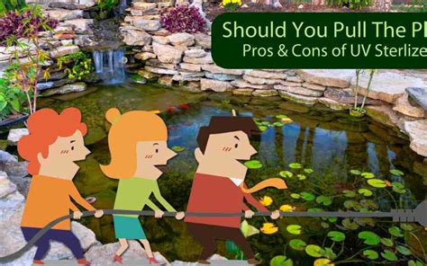 Are UV Pond Filters / Sterilizers The Best Choice For My Pond?