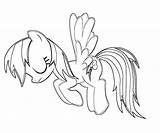 Rainbow Dash Coloring Pages  Best For Kids sketch template