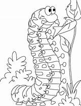 Very Hungry Caterpillar Coloring Pages Printables At GetColoringscom  sketch template