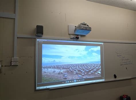 Classroom Projector Upgrade at Parade College - DIB Australia