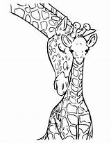 Jungle Coloring Pages  Best For Kids sketch template