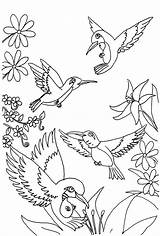 Printable Bird Coloring Pages sketch template