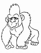 Gorilla coloring pages To Download And Print For Free sketch template