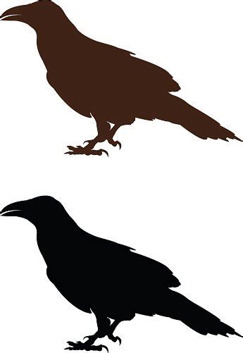 Raven Silhouette Stock Clipart | Royalty-Free | FreeImages