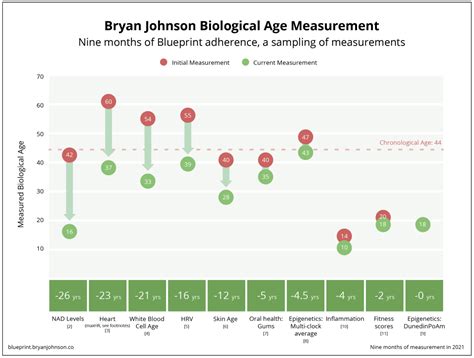 Bryan Johnson's Longevity Protocol - Your Thoughts? - Rapamycin Longevity News