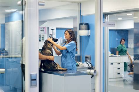 Animal Hospital, Burlington, NC | Plaza Veterinary Hospital